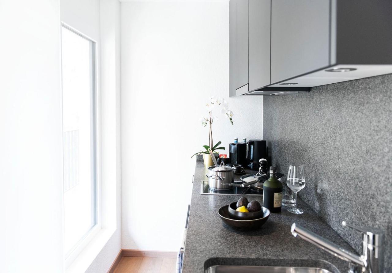 Cosmopolitan Apartments Zuerich Seefeld ภายนอก รูปภาพ